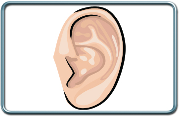 ניתוחי אוזניים- Ear surgery