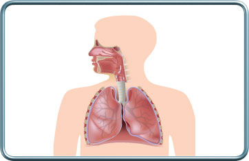 ניטור מערכת הנשימה
