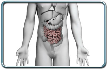 ניתוחי המעי הדק- Small intestine surgery