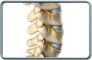 הרדמה לניתוחים אורטופדים של הגב- Spine surgery